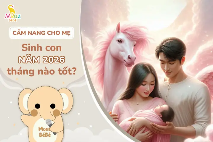 Tướng Số Sinh Năm 2019 Tháng Nào Tốt Tướng Số Sinh Năm 2019 Tháng Nào Tốt