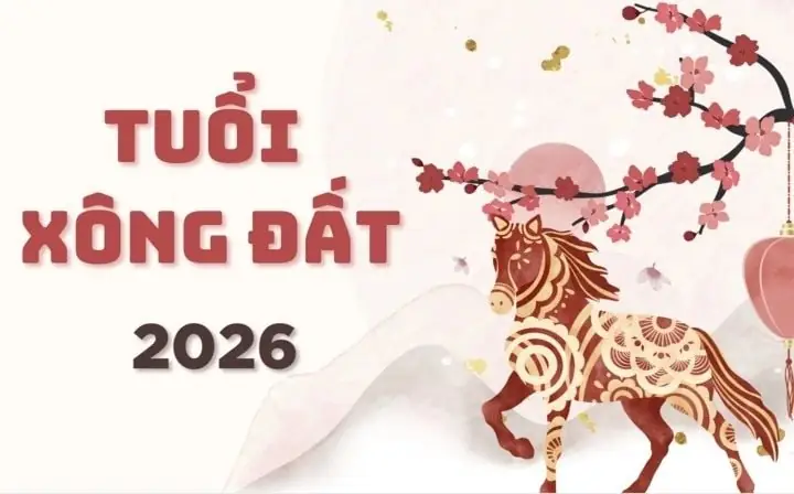 Tướng Số Tân Mùi 1991 Năm 2019 Tướng Số Tân Mùi 1991 Năm 2019