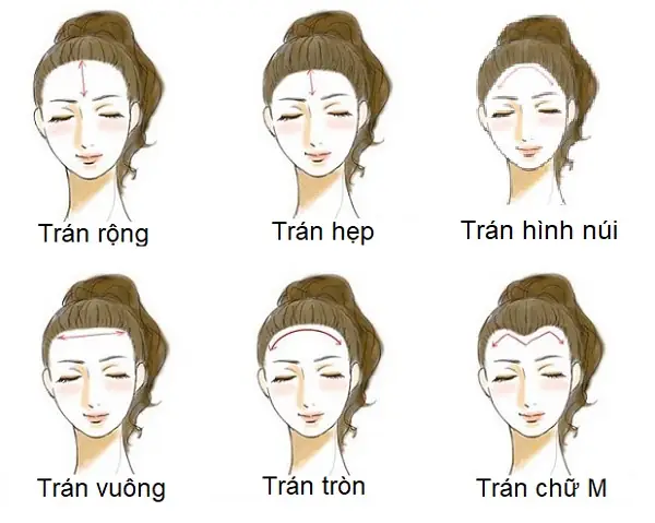 Tướng Số Trán Rộng