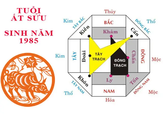 Tướng Số Tuổi Ất Sửu