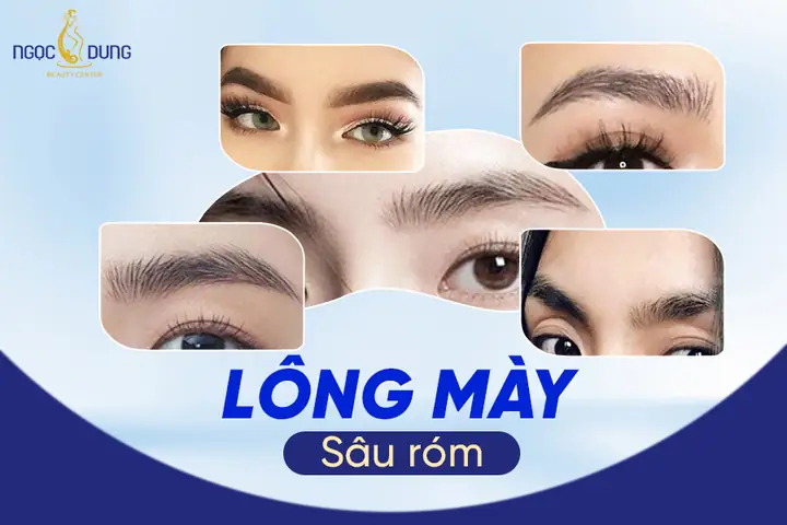 Tướng Số Và Lông Mày Tướng Số Và Lông Mày