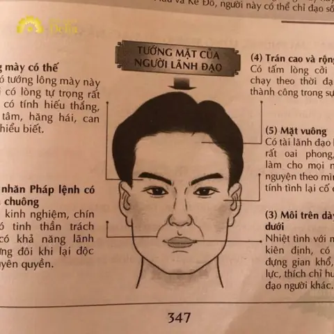 Ứng Dụng Xem Tướng Mặt