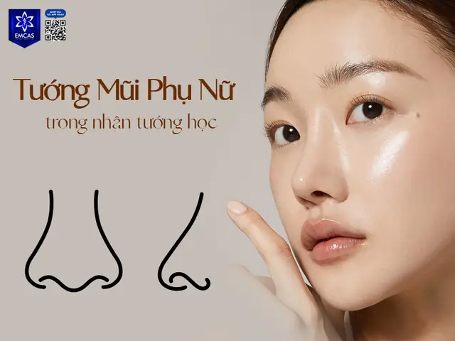 Xem Các Tướng Mũi