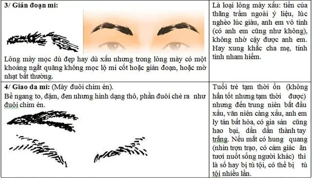 Xem Nhân Tướng Chân Mày Xem Nhân Tướng Chân Mày