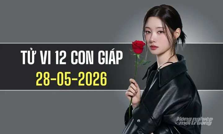 Xem Tử Vi Tướng Số 12 Con Giáp