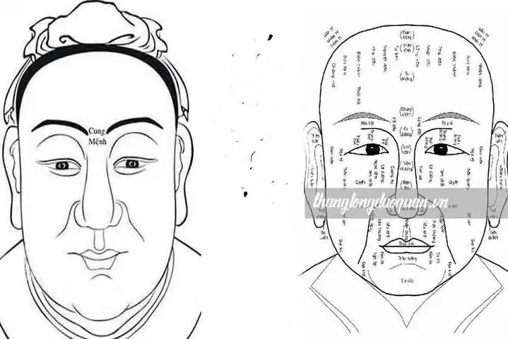 Xem Tử Vi Và Tướng Số