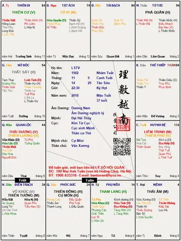 Xem Tướng Cằm Lyso