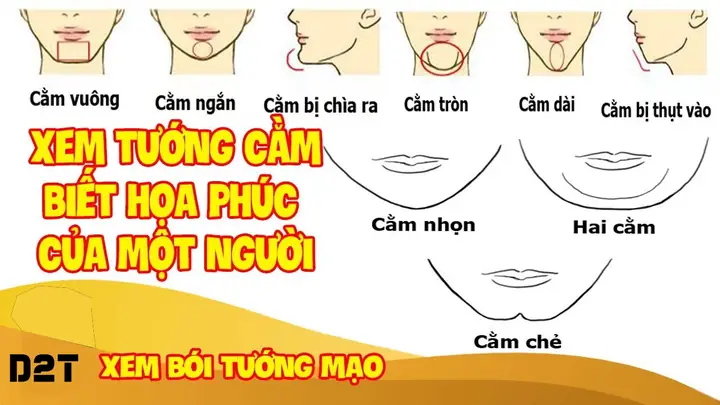 Xem Tướng Cằm Nhô Ra