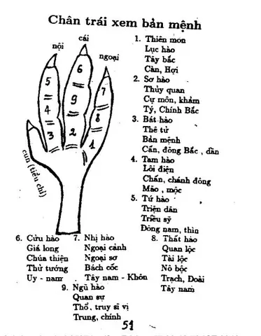 Xem Tướng Chân Gà Chọi
