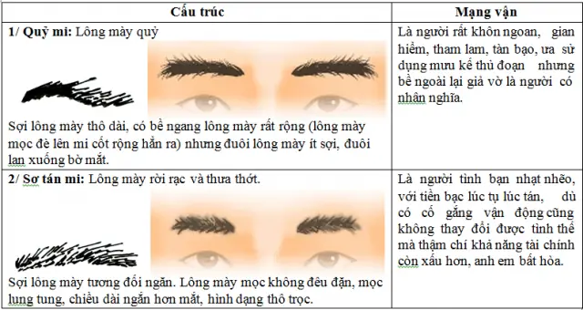 Xem Tướng Chân Mài
