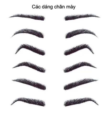 Xem Tướng Chân Mày Xem Tướng Chân Mày