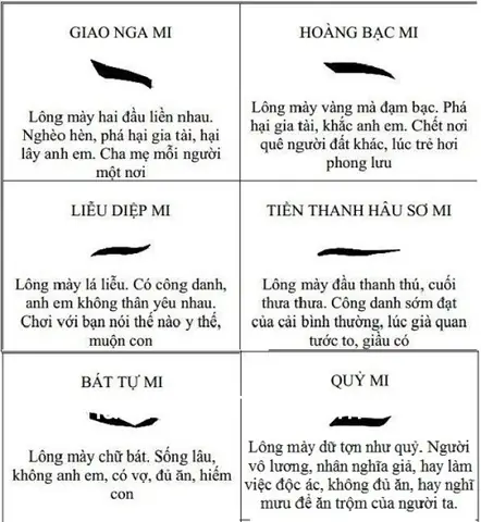 Xem Tướng Chân Mày Xem Tướng Chân Mày