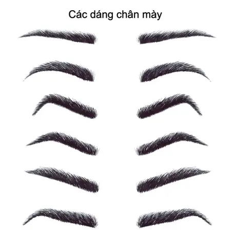 Xem Tướng Chân Mày Đoán Giàu Sang