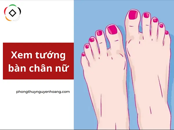 Xem Tướng Chân Phụ Nữ