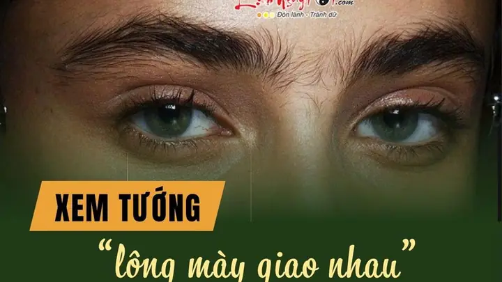 Xem Tướng Lông Mày Giao Nhau Xem Tướng Lông Mày Giao Nhau