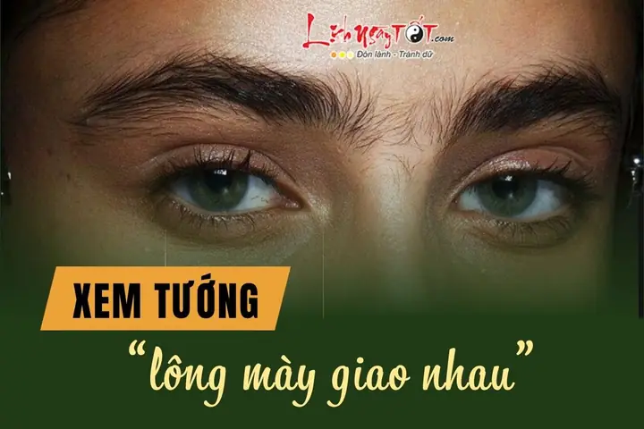 Xem Tướng Lông Mày Giao Nhau Xem Tướng Lông Mày Giao Nhau