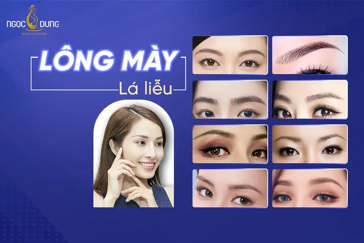 Xem Tướng Lông Mày Lá Liễu