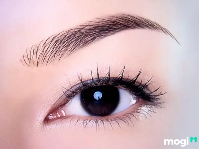 Xem Tướng Lông Mày Lá Liễu