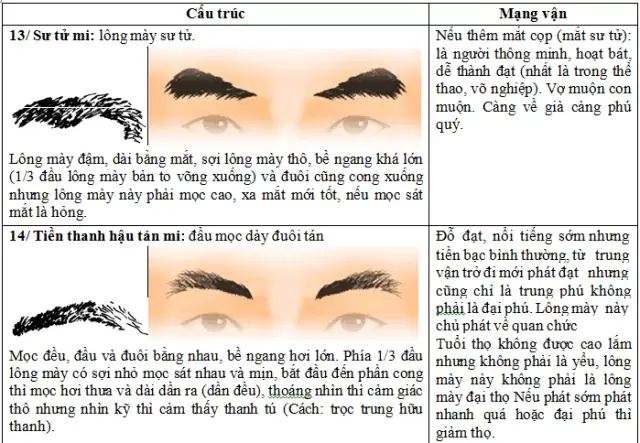 Xem Tướng Lông Mày Nam Về Già Mọc Dài Thêm Xem Tướng Lông Mày Nam Về Già Mọc Dài Thêm