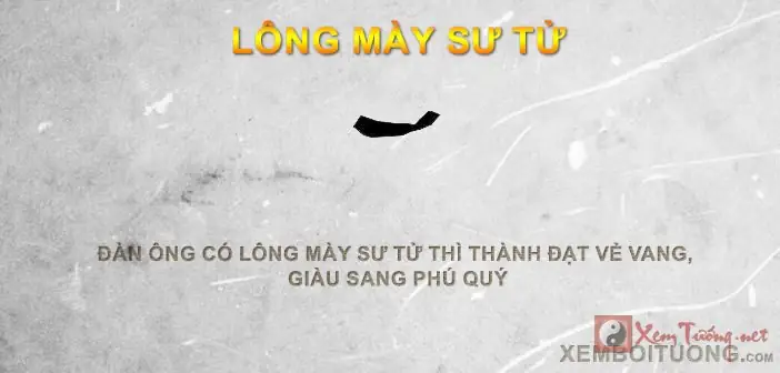Xem Tướng Lông Mày Nam Xemtuong.net