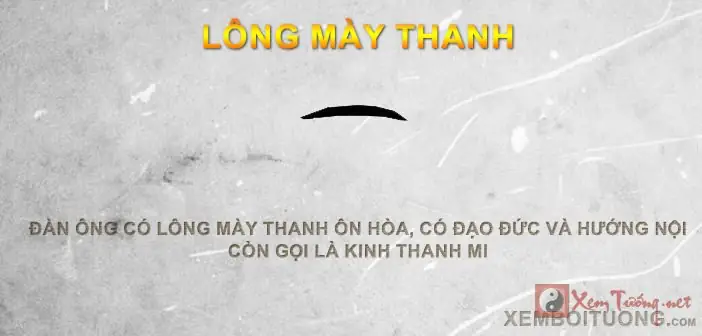 Xem Tướng Lông Mày Nam Xemtuong.net