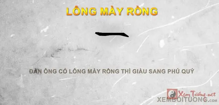 Xem Tướng Lông Mày Nam Xemtuong.net
