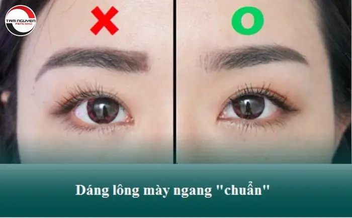 Xem Tướng Lông Mày Ngang Xem Tướng Lông Mày Ngang