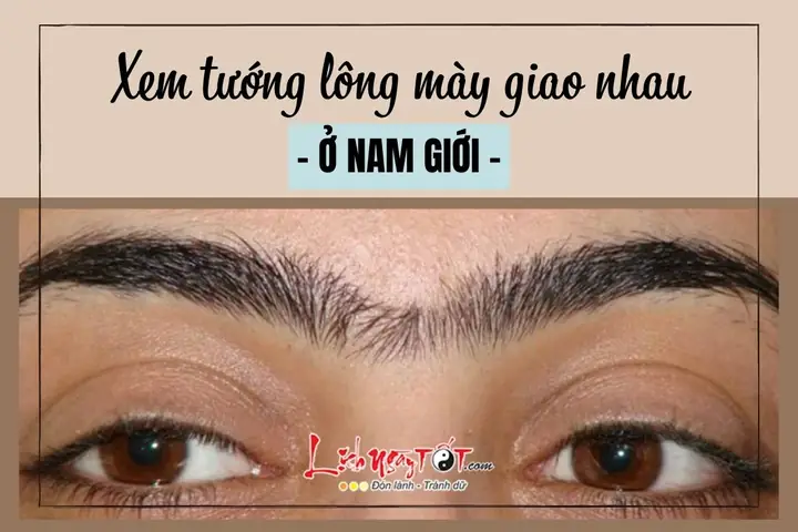 Xem Tướng Lông Mày Nối Nhau Xem Tướng Lông Mày Nối Nhau