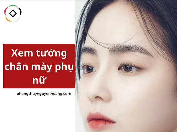 Xem Tướng Lông Mày Nữ Giới Xem Tướng Lông Mày Nữ Giới