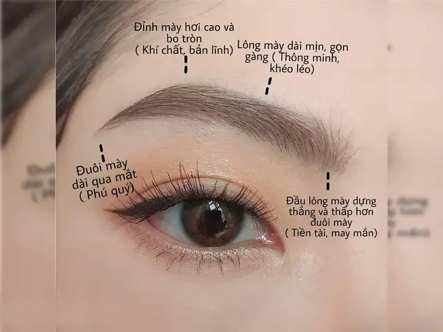 Xem Tướng Lông Mày Phong Thủy