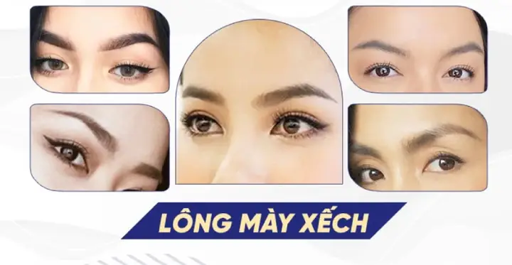 Xem Tướng Lông Mày Xếch Xem Tướng Lông Mày Xếch