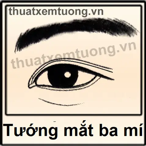 Xem Tướng Mắt Ba Mí