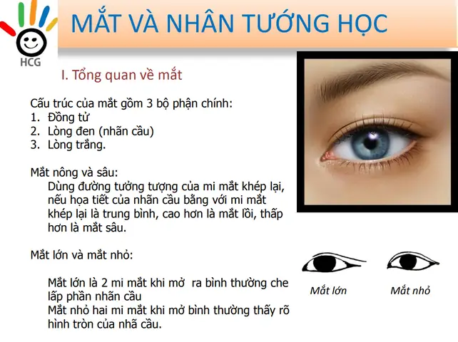 Xem Tướng Mắt Có Đồng Tử Nhỏ