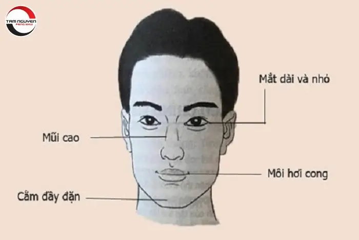 Xem Tướng Mặt Dài