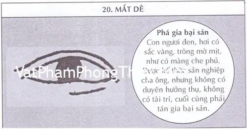 Xem Tướng Mắt Dê