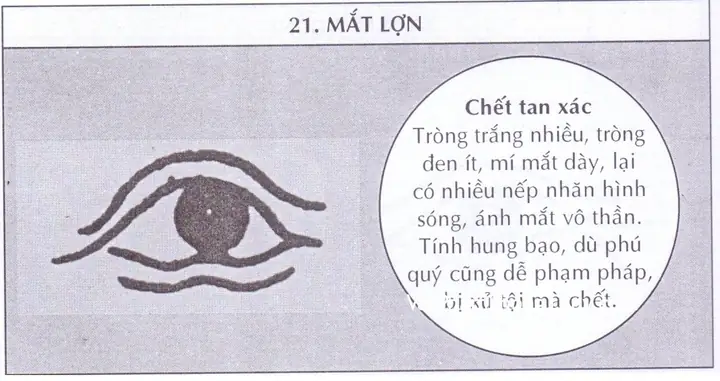 Xem Tướng Mắt Đoán Tính Cách