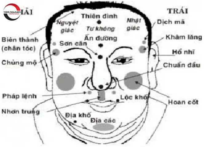Xem Tướng Mặt Đoán Vận Mệnh Xem Tướng Mặt Đoán Vận Mệnh