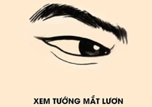 Xem Tướng Mắt Hí