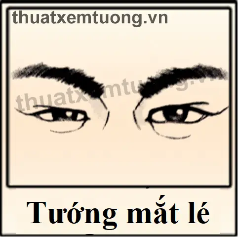 Xem Tướng Mắt Lé Kim Xem Tướng Mắt Lé Kim