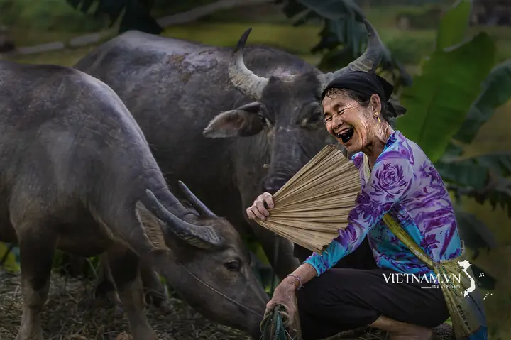 Xem Tướng Mặt Lechcje