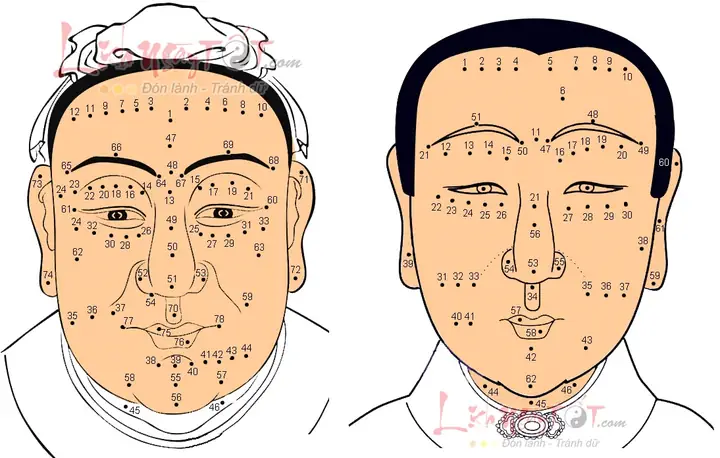 Xem Tướng Mặt Nam Qua Nốt Ruồi