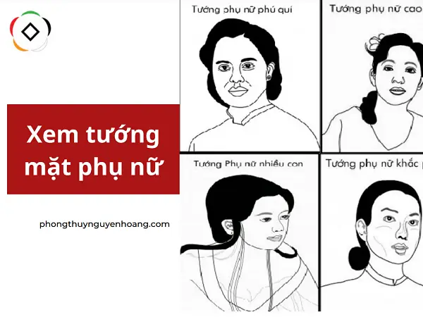 Xem Tướng Mặt Nữ