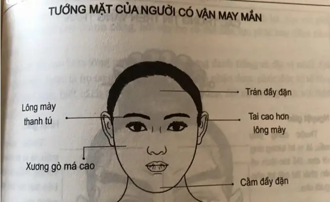 Xem Tướng Mặt Nữ Xem Tướng Mặt Nữ
