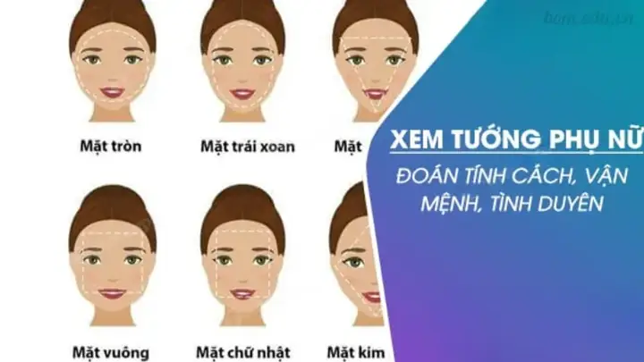 Xem Tướng Mặt Nữ Tròn Xem Tướng Mặt Nữ Tròn