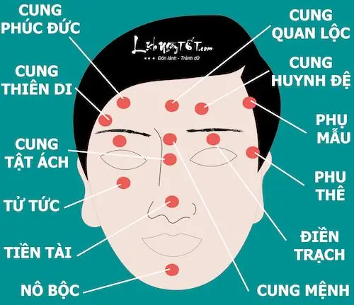 Xem Tướng Mặt Phu Thê