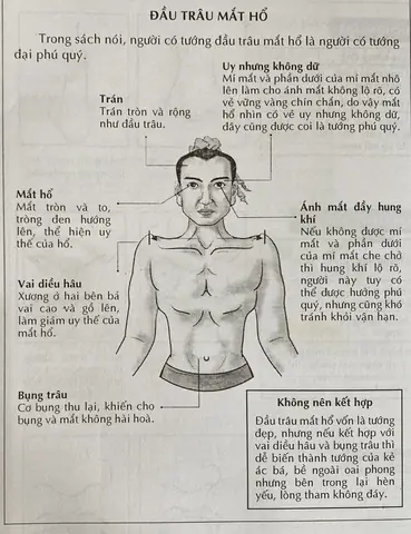 Xem Tướng Mắt To Tròn
