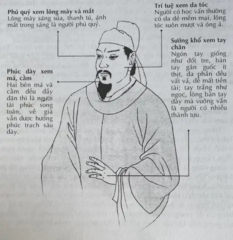 Xem Tướng Mắt Toàn Lòng Đen