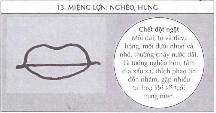 Xem Tướng Môi Co Va Nh