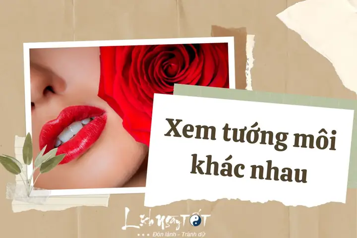 Xem Tướng Môi Mỏng Xemtuong