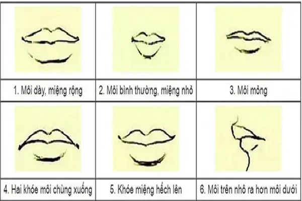 Xem Tướng Môi Mỏng Xemtuong
